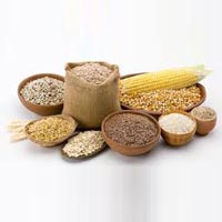 Food Grains