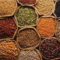 Indian Pulses