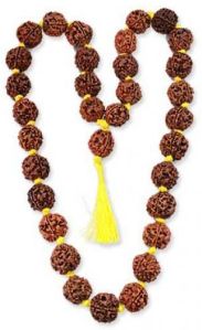 4 Mukhi Rudraksha Mala