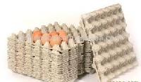 pulp egg trays
