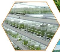 Transgenic Greenhouse Facilities