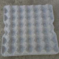 Paper Pulp Egg Tray