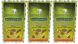 Saundarya Organic Hair Colour