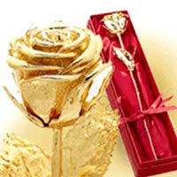 gold plated rose