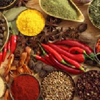 Indian spices