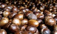 Nutmeg Seeds