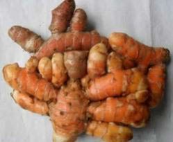 Raw Turmeric Finger