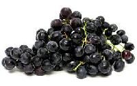 Black Seedless Grapes