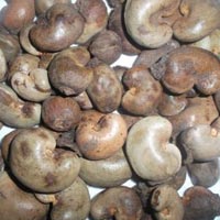 Raw Cashew Nuts