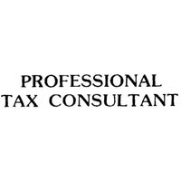 professional tax consultant