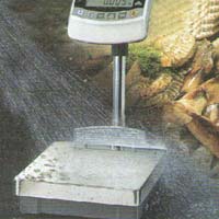 Bench Weighing Scales