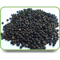 Black Pepper Seeds