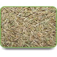 Cumin Seeds