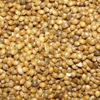 Millet Seeds