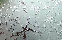 Decorative Frosted Glass