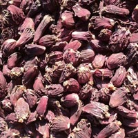 Black Large Cardamom