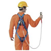 Safety Harness