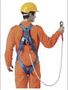 Safety Harness