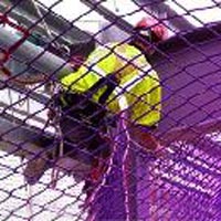 Safety Net