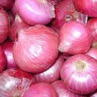 Fresh Big Onions