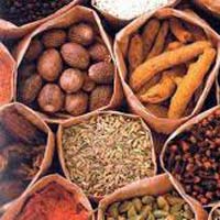 Indian spices