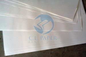 Coated Paper