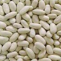 White Kidney Beans