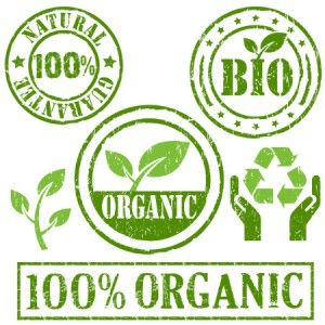 Organic psyllium - Certified