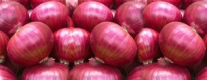 Red Onion