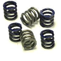 Clutch Spring