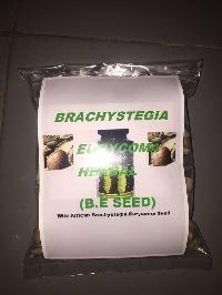 Brachystegia Eurycoma seed