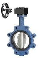 Cast Iron Butterfly Valve