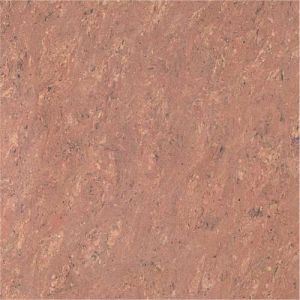 Polished Vitrified Tiles