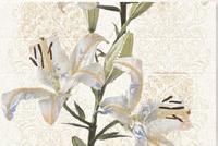 HL-B Series Digital Ceramic Wall Tiles