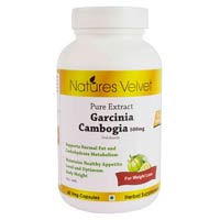 Garcinia Cambogia 500mg Pure Extract 60 Veg Capsules