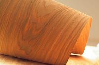 veneer wood