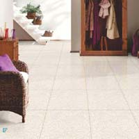 Floor Tiles