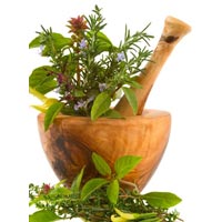 Herbal Treatment For Prolapse Rectum