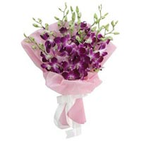 9 Purple Orchids Wrapped in a Baby Pink Wrapping Paper