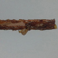 Chemical Wire Stripper