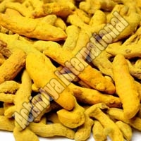 Curcuma Longa