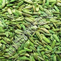 Fennel Powder