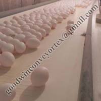 PVC Coated Cotton Conveyor Belt