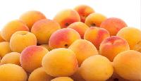 Apricots