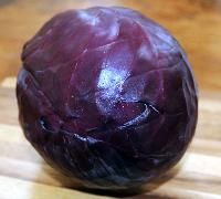 Red Cabbage