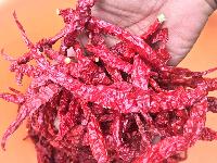 Byadgi Dried Red Chilli