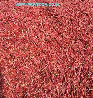 dried-red-chilies