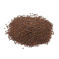 Brown Mustard Seeds