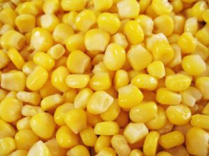 Sweet Corn