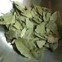 Dried Bay Leaves